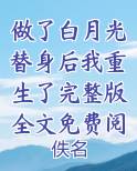 做了白月光替身后我重生了完整版全文免费阅读小说5200