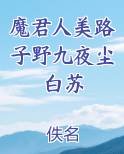 魔君人美路子野九夜尘白苏电子书