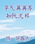 孕气满满苏知阮沈祁小说推荐