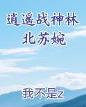 逍遥战神林北苏婉最新章节免费阅读