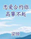 恋爱合约你高攀不起