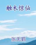 触木惊仙全本免费阅读
