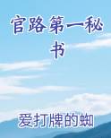 官路第一秘书